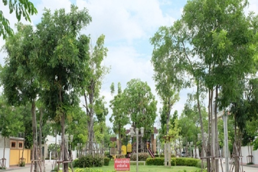 รติรมย์-ฟิฟท์