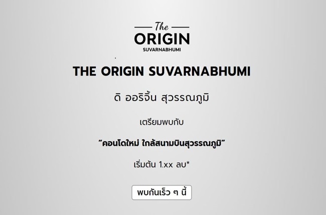 banner-project-details